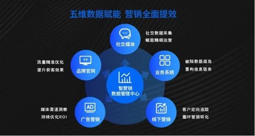 智營銷數據管理中心 全域聚合與治理，賦能企業精準營銷決策
